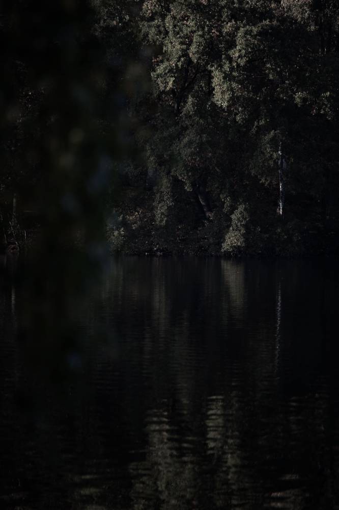 Prevision 1